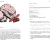 A Gothic Cookbook: Hauntingly Delicious Recipes Inspired by 13 Classic Tales