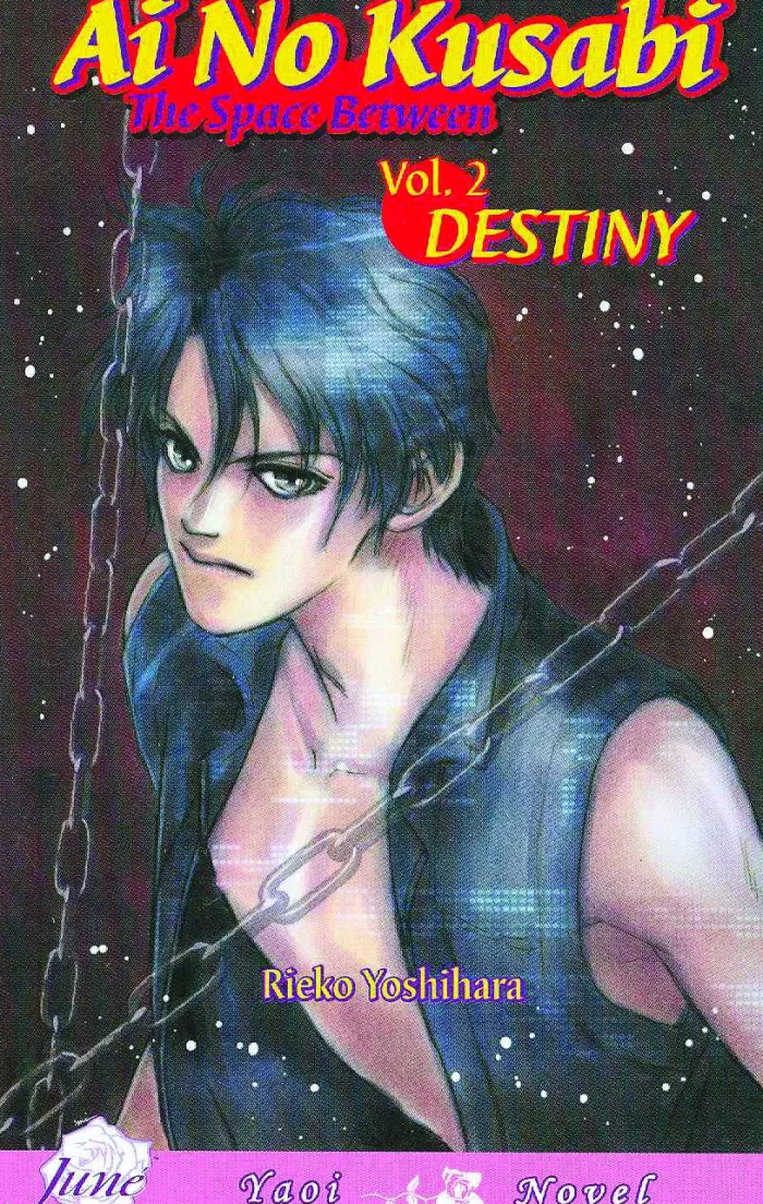 Ai No Kusabi The Space Between Volume 2: Destiny (Yaoi Novel)