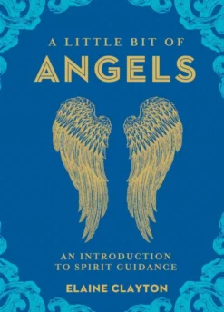 A Little Bit of Angels: An Introduction to Guardian Healing