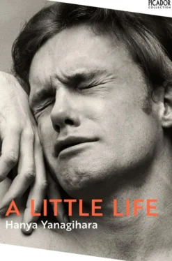 A Little Life