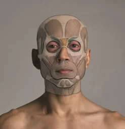 Anatomy for Artists: A visual guide to the human form