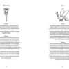 Ancient Egyptian Hieroglyphs Illustrated: A Formal Writing System Used in Ancient Egypt