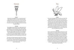 Ancient Egyptian Hieroglyphs Illustrated: A Formal Writing System Used in Ancient Egypt