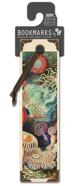 Anemones