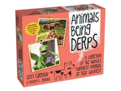 Animals Being Derps 2027 Day-to-Day Calendar