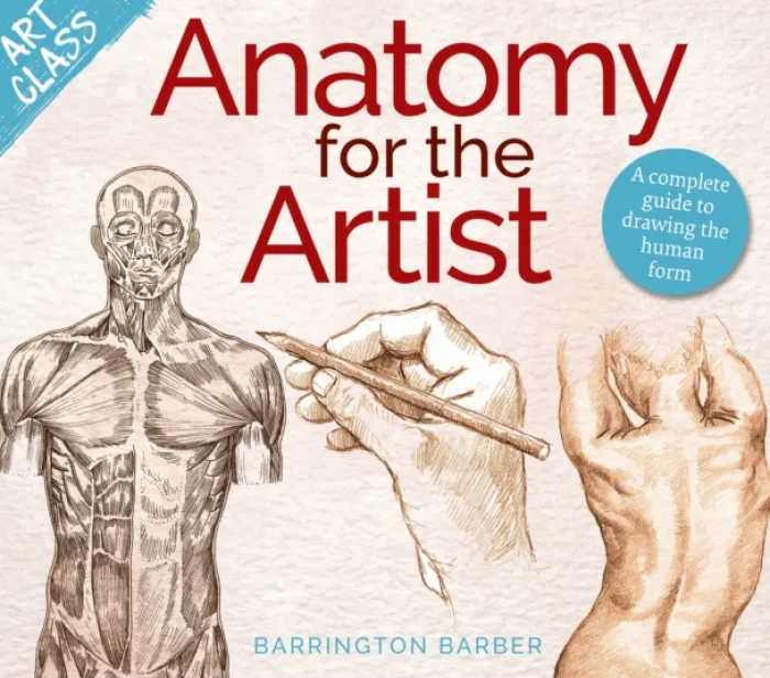 Art Class: Anatomy for the Artist: A complete guide to drawing the human form