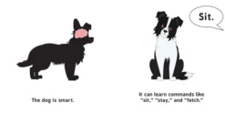 Artificial Intelligence for Babies