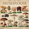 Art of the Mushroom 2026 Wall Calendar