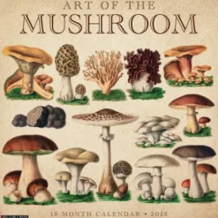 Art of the Mushroom 2026 Wall Calendar
