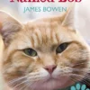 A Street Cat Named Bob: How one man and his cat found hope on the streets
