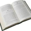 A Treasury of Irish Fairy and Folk Tales