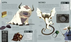 Avatar The Last Airbender Visual Dictionary