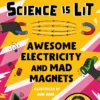Awesome Electricity and Mad Magnets