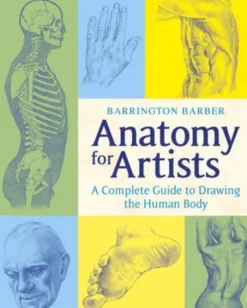 Barrington Barber Anatomy for Artists