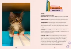 Bookshop Cats