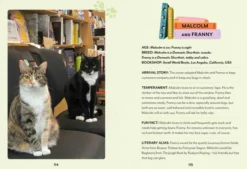 Bookshop Cats