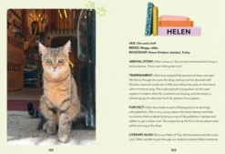 Bookshop Cats