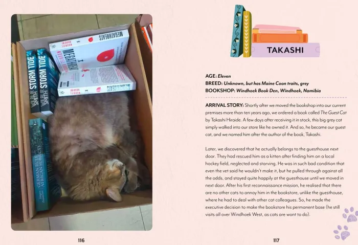 Bookshop Cats