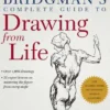 Bridgman's Complete Guide to Drawing From Life