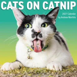 Cats on Catnip Wall Calendar 2027