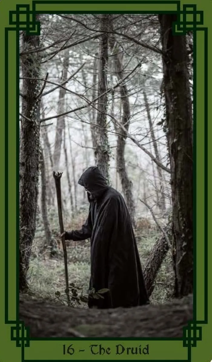 Celtic Magic Book & Card Deck: Includes a 50-Card Deck and a 128-Page Guide Book (Arcturus Oracle Kits)