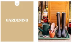 Cozy Hobbies: Joyful Activities for Play & Leisure
