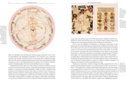 Crucial Interventions: An Illustrated Treatise on the Principles & Practice of Nineteenth-Century Surgery.