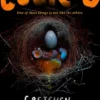 Cuckoo