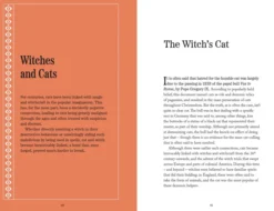 Curious Cats and Fantastical Felines: Cats in folklore, myth and legend