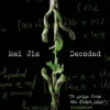 Decoded