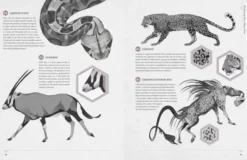 Designing Dragons: An artist's guide to the legendary mythical creatures