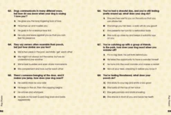 Dog Pawsonality Test: What our canine friends are really thinking