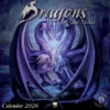 Dragons by Anne Stokes Wall Calendar 2026 (Art Calendar)