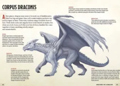 Dragons & Treasures (Dungeons & Dragons)