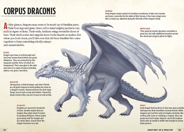 Dragons & Treasures (Dungeons & Dragons)