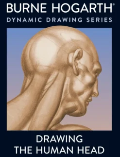 Drawing the Human Head