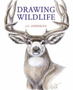 Drawing Wildlife