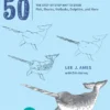Draw 50 Sea Creatures