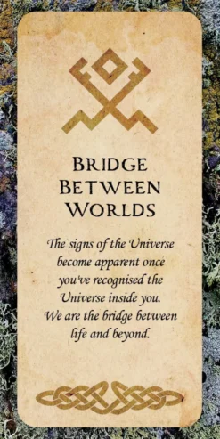 Druid Wisdom