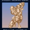Dynamic Anatomy