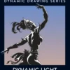 Dynamic Light and Shade