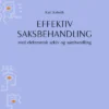 Effektiv saksbehandling