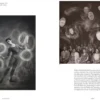Elements: Chaos, order and the five elemental forces