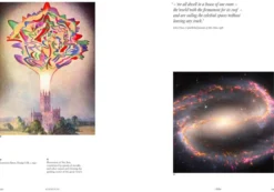 Elements: Chaos, order and the five elemental forces