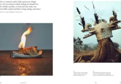 Elements: Chaos, order and the five elemental forces