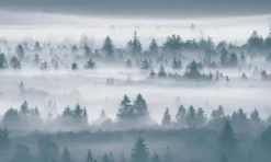 Enchanted Earth: Real Life Places That Feel Like Fantasy