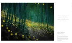 Enchanted Earth: Real Life Places That Feel Like Fantasy