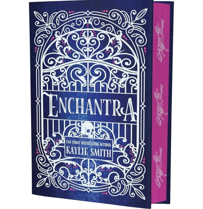 Enchantra: A spicy fantasy romance