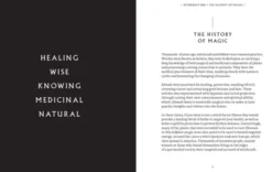 Everyday Magic: Rituals, Spells and Potions to Live Your Best Life