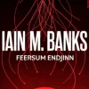Feersum Endjinn